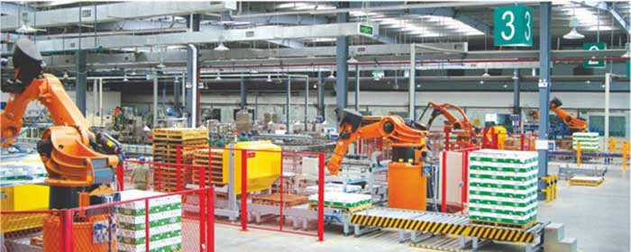 Robot-Palletizer